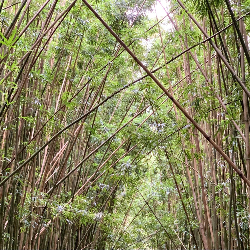 Meet your Posher, Kait